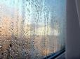 Все просто! Як запобігти конденсату на вікнах без особливих зусиль - дієвий лайфхак