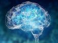 Мозок можна омолодити за 12 тижнів: Учені назвали просту формулу