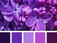 Любите фіолетовий колір? Ось що це каже про вашу натуру