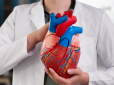 Все просто! Вчені знайшли простий спосіб запобігти хворобам серця